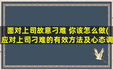 面对上司故意刁难 你该怎么做(应对上司刁难的有效方法及心态调整建议)